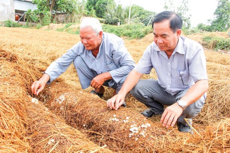Dạy con, cháu học tập gương Bác