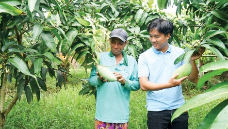Trái ngọt đầu năm