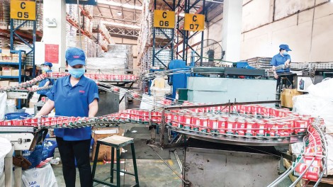 Dệt những chặng đường xuân...