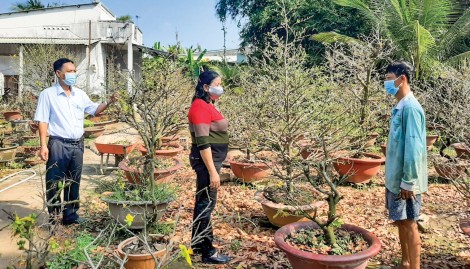 Góp sức xây dựng quê hương