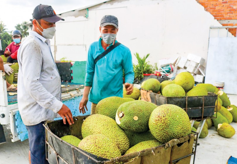 Để phát triển xuất khẩu bền vững