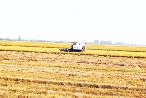 Bước chuyển trợ lực hợp tác xã