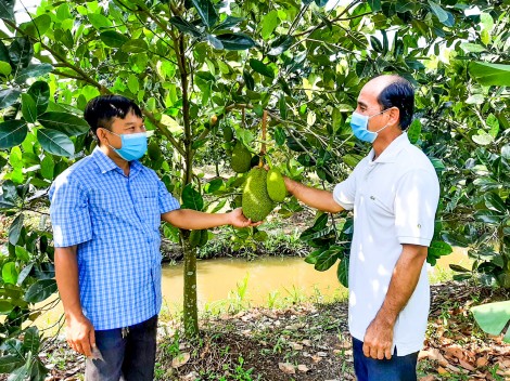 Vận động nhân dân làm theo gương Bác