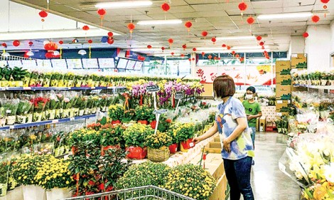 Thêm không gian xanh mát cho ngôi nhà