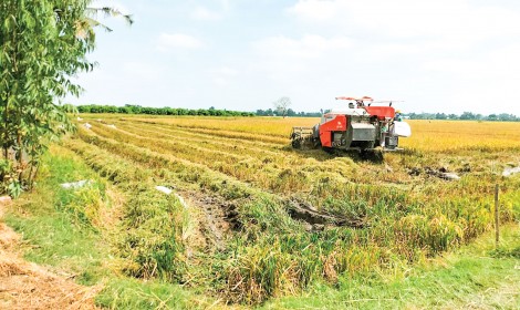 Chuyển mục đích sử dụng đất