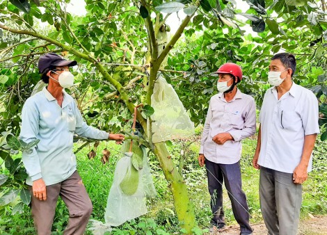 Nhiều giải pháp hỗ trợ nhân dân nâng cao đời sống