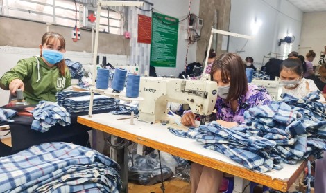 Triển khai định mức hỗ trợ kinh phí khuyến công cho doanh nghiệp, cơ sở công nghiệp nông thôn