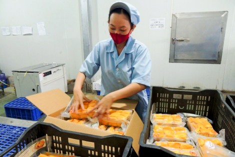 Đề xuất giải pháp phát triển lĩnh vực bảo quản, chế biến nông sản