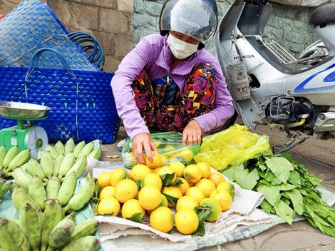 Vú sữa hoàng kim giảm giá mạnh
