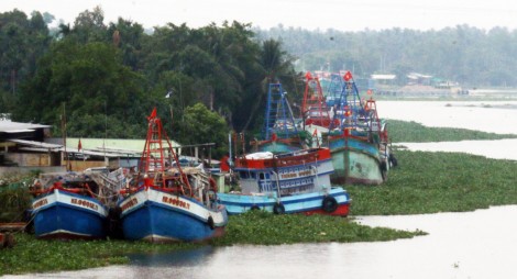 Nhiều tàu cá Kiên Giang ngưng hoạt động