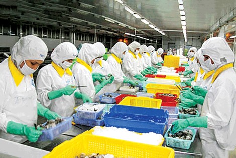 Tôm xuất khẩu tìm cách giữ vững lợi thế cạnh tranh