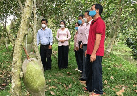 Ðáp ứng nhu cầu vay vốn phát triển sản xuất, kinh doanh, dịch vụ