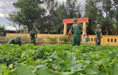 “Thực túc” trên đảo Cồn Cỏ