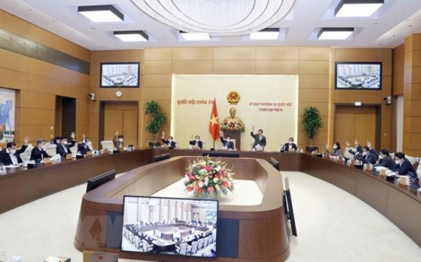 Đưa người nghiện ma túy từ đủ 12 đến dưới 18 tuổi vào cơ sở cai nghiện