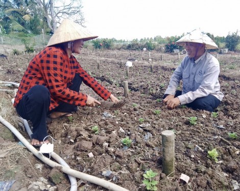 Làm mẹ đơn thân