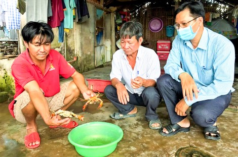 Cua chết hàng loạt do ký sinh trùng