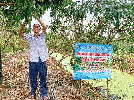 Hỗ trợ nông dân giảm chi phí sản xuất, tạo sản phẩm nông nghiệp an toàn