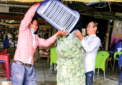 Giá gương sen duy trì ở mức cao