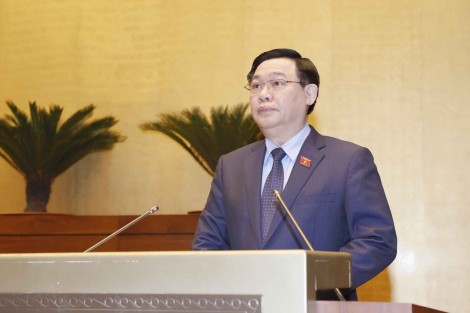 Khai mạc Hội nghị đại biểu Quốc hội hoạt động chuyên trách
