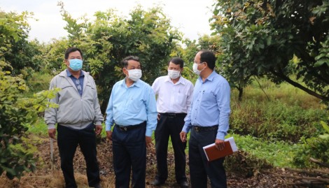 Hội Nông dân thành phố thực hiện đạt trên 50% kế hoạch của 11 chỉ tiêu thi đua