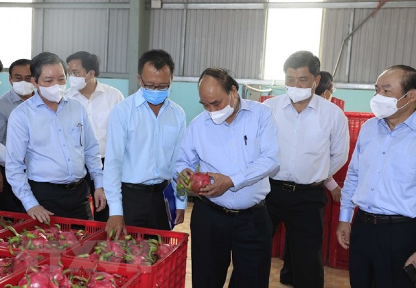 Huy động sức mạnh tổng hợp phát triển kinh tế tập thể ở Tiền Giang