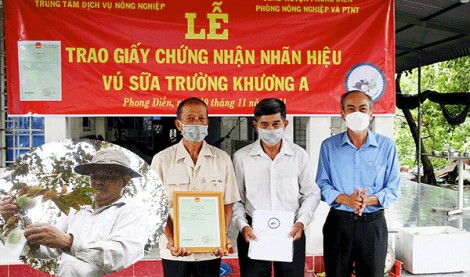 Quản lý nhà nước về Sở hữu trí tuệ  Công cụ thúc đẩy hoạt động sở hữu trí tuệ tại địa phương