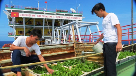 "Vườn rau di động" giữa biển khơi