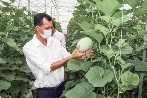 Truyền cảm hứng làm nông nghiệp công nghệ cao