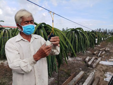 Thúc đẩy chuyển giao, ứng dụng khoa học công nghệ trong nông nghiệp