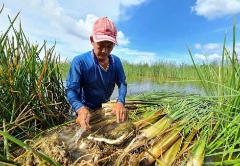 Làm giàu nhờ mô hình kết hợp