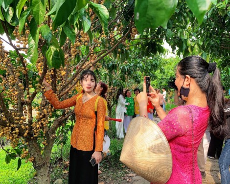 Du lịch ĐBSCL dần phục hồi