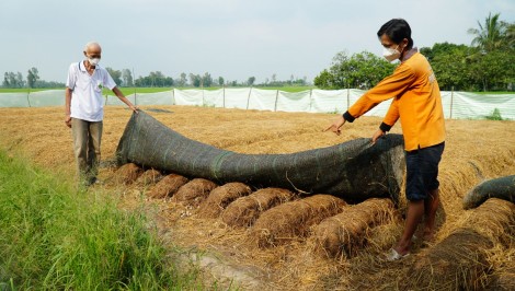 Chi bộ hoàn thành xuất sắc nhiệm vụ 5 năm liền