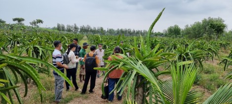 Góp phần nâng cao chất lượng nguồn nhân lực nông nghiệp