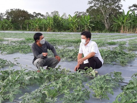 Nêu cao tinh thần trách nhiệm trong xây dựng nông thôn mới kiểu mẫu