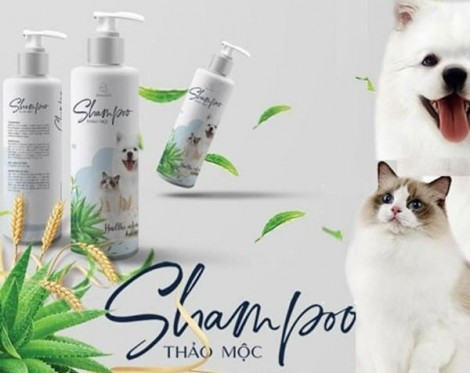 Vemedim có các sản phẩm gì? Tại sao nên sử dụng sản phẩm Vemedim?
