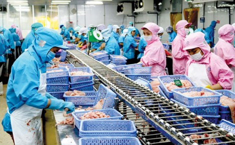 Hội nghị giao thương trực tuyến thủy sản Việt Nam - EU năm 2022