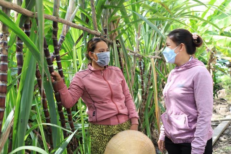 Tạo điểm nhấn thu hút hội viên