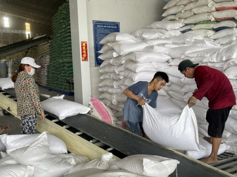 Giá gạo Việt Nam duy trì vị trí dẫn đầu