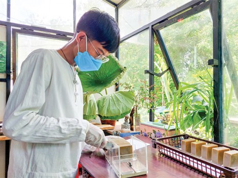 Xà bông từ “cây nhà lá vườn” của chàng trai Cần Thơ