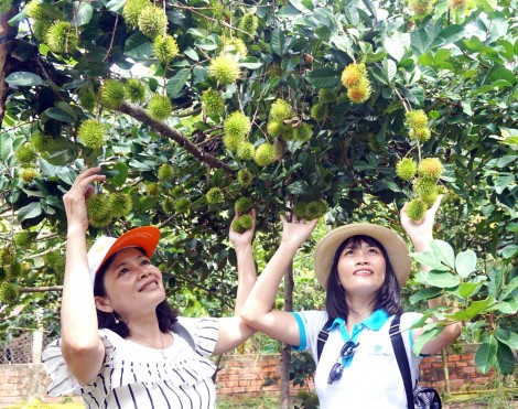 Du lịch sẽ trở thành ngành kinh tế quan trọng 