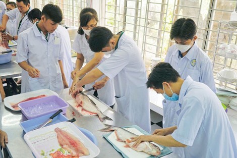 Gắn kết với doanh nghiệp, giải quyết việc làm cho sinh viên