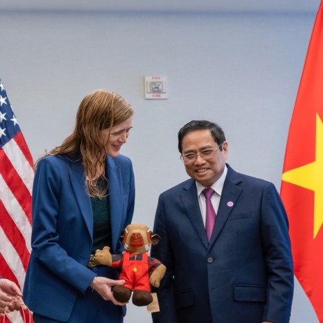 Nên dừng ngay, dù nhầm lẫn hay cố ý
