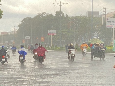 Mưa lớn xuất hiện, đề phòng giông lốc gây sập nhà dân, đổ ngã cây xanh đô thị