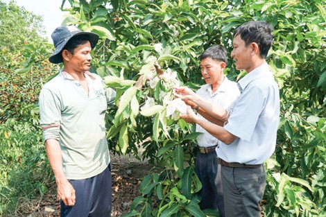 Giúp nông dân xây dựng nhiều mô hình kinh tế hiệu quả