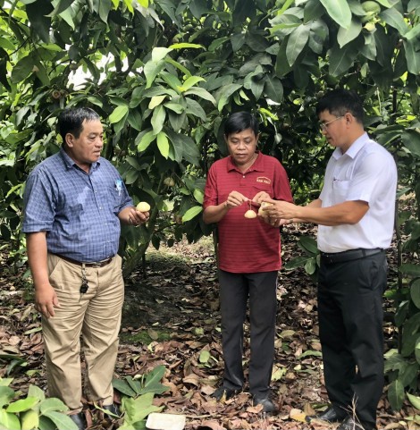 Hỗ trợ nhân dân phát triển sản xuất
