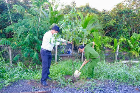 Trồng thêm cây xanh, thiết thực bảo vệ môi trường
