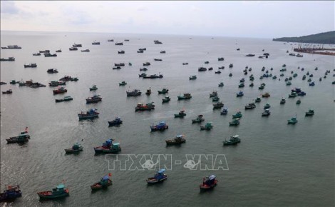 Tăng cường ứng dụng khoa học và công nghệ trong phát triển bền vững biển đảo