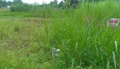Muốn tách thửa phải đáp ứng các điều kiện về diện tích tối thiểu