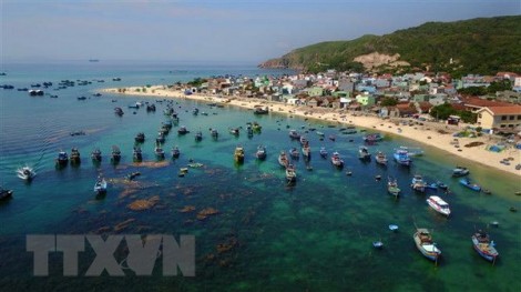 Cùng hành động vì đại dương xanh