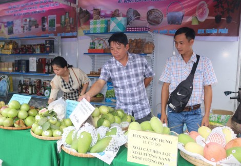 Hơn 200 hợp tác xã tham gia Hội chợ Coop - Expo 2022